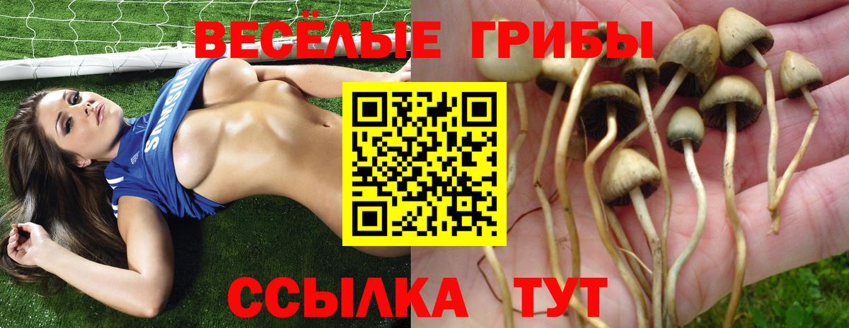 Нурлат  Псилоцибиновые грибы MAGIC MUSHROOMS  где купить   Вход с VPN 