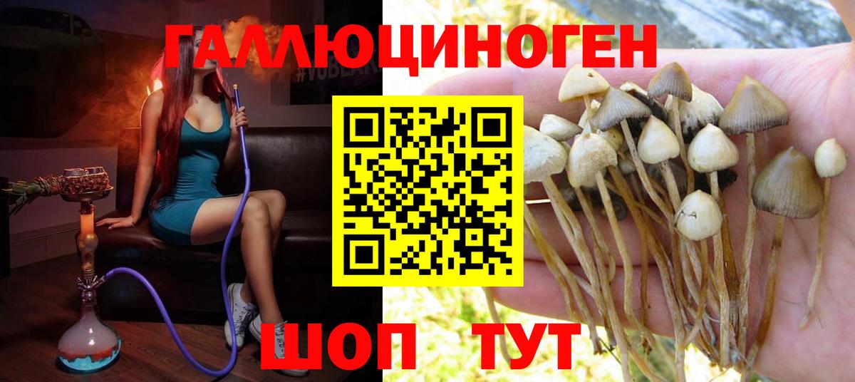 Псилоцибиновые грибы ЛСД Нурлат